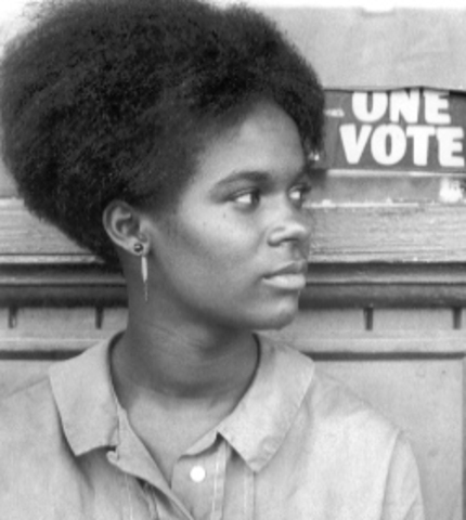 Mississippi Freedom Summer