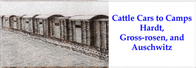 Abe Goes to Camp Hardt