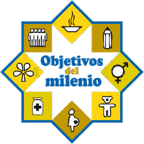 LA CUMBRE DEL MILENIO