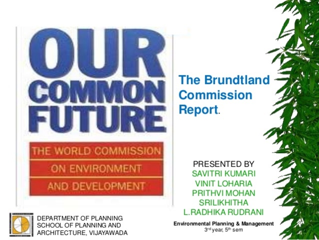 EL INFORME DE BRUNDTLAND