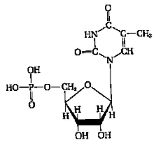 Frederick Miescher Isolates Nuclein