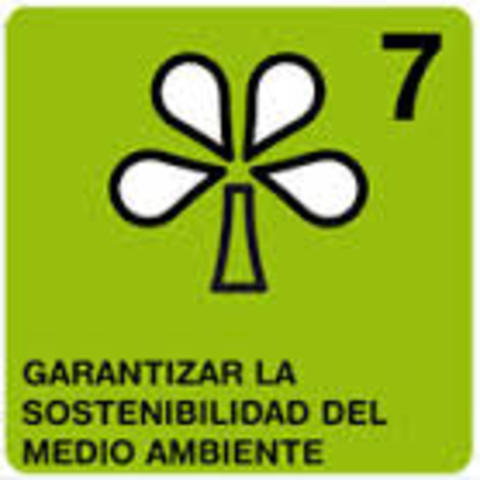 Objetivo 7 Desarrollo del Milenio