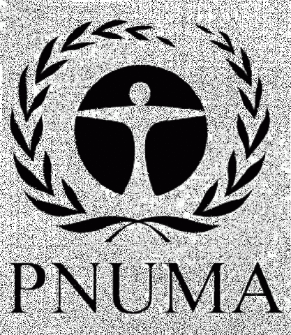 EVENTO: Programa de las Naciones Unidas para el Medio Ambiente (PNUMA)
