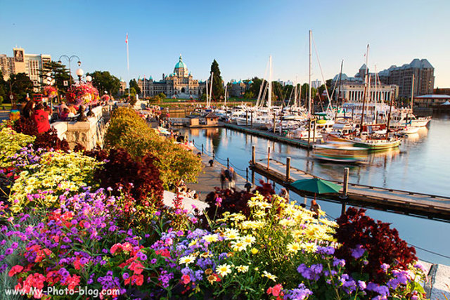Viaje de Verano a Canadá