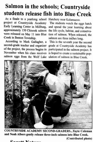 Countryside release salmon