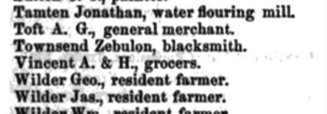 George W. Hawes' Michigan State Gazetteer, and Business Directory