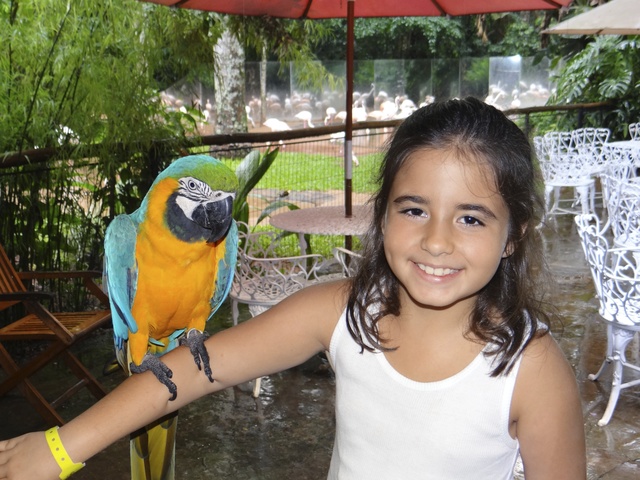 parque das aves