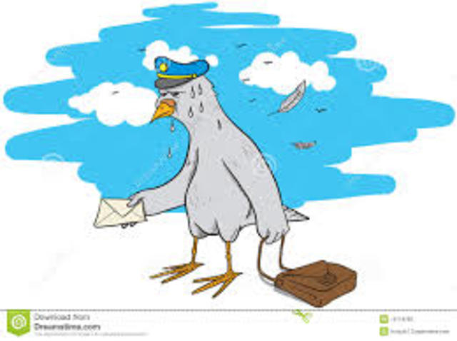 Pigeon Post