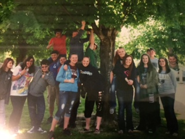 Concierto de Ocho Grado