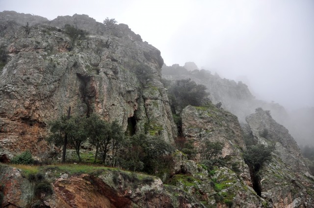 Participación en la batalla de las Navas de Tolosa