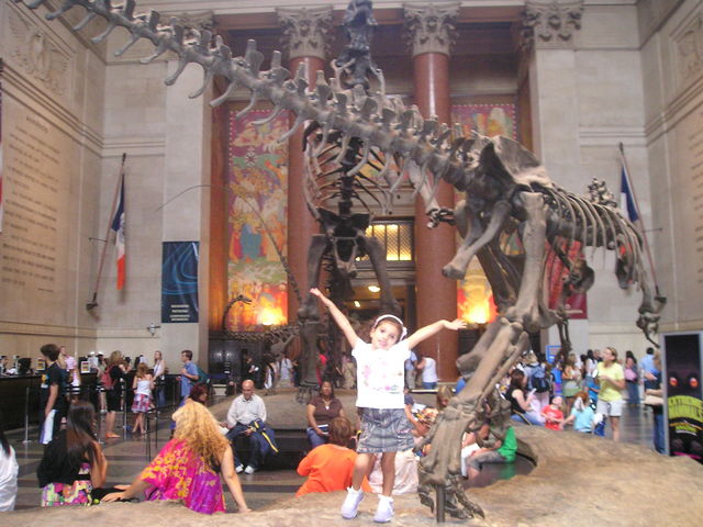 No museu de artes naturais em NEW YORK