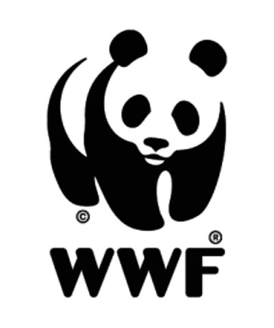 WWF 1961