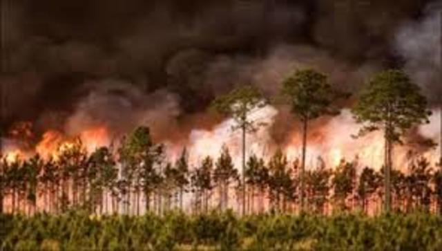 Start of Slave rebellion