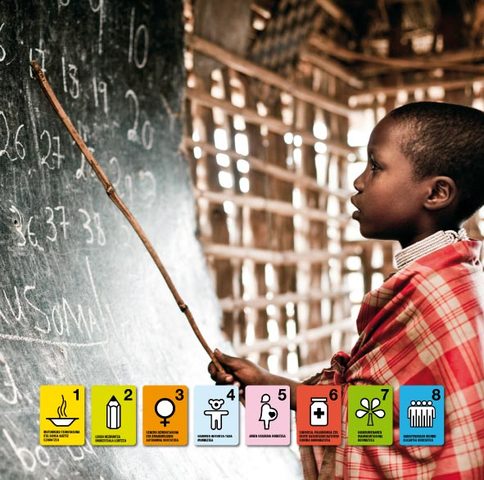 Informe Milenio 2013