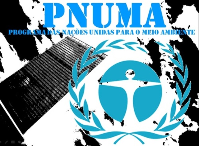 PNUMA1972