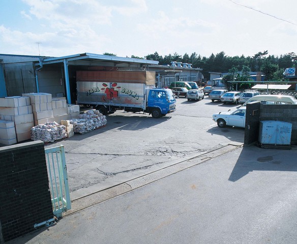 Pearl forms long range plans