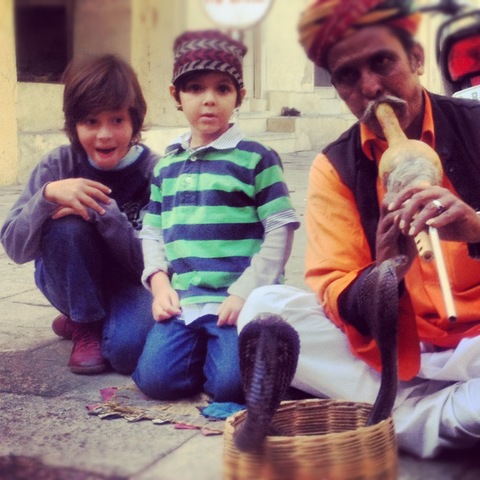 Eu vendo uma cobra na Índia