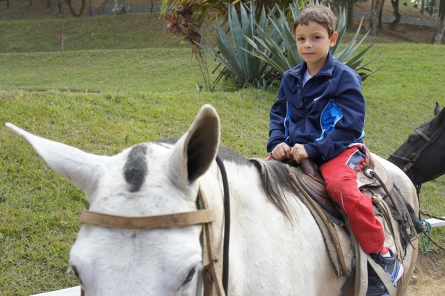 Fazenda Riberão 2010