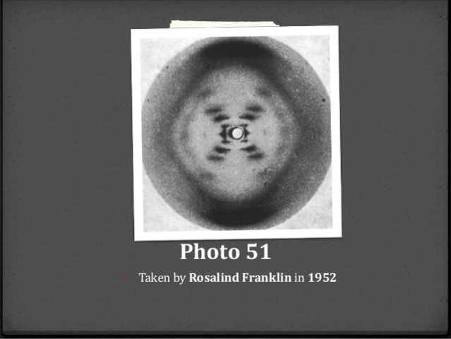 Rosalind Franklin creates Photograph 51, showing a distinctive pattern that indicates the helical shape of DNA