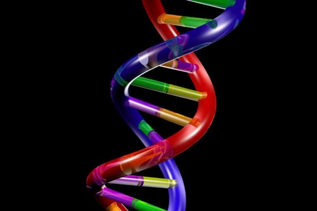 James Watson and Francis Crick discover the double helix structure of DNA