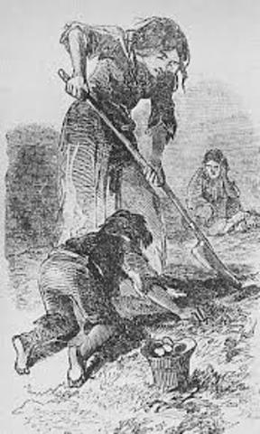 Migrazione dall'Irlanda