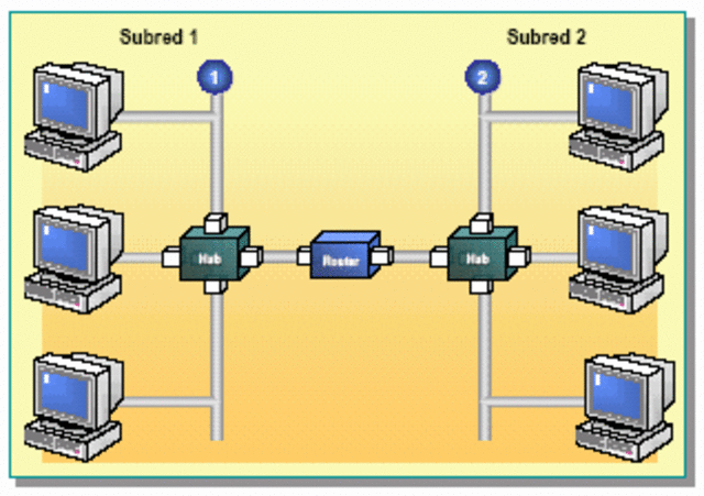 Aparece el término Internet