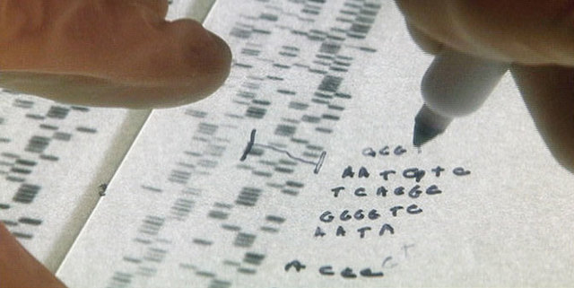 Celera Genomics Corporation founded for sequencing the human genome