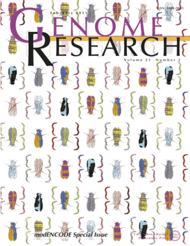 First draft of the human genome released