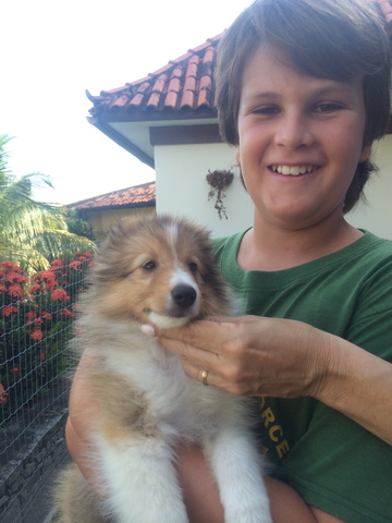 Ganhei meu cachorro Jake