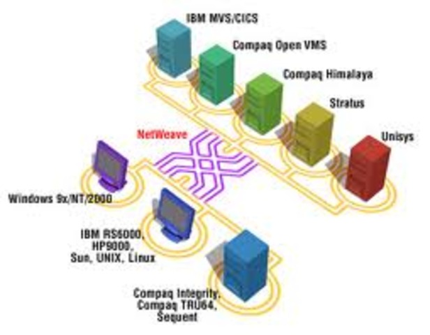 Accomplishments: Databot Project Leader