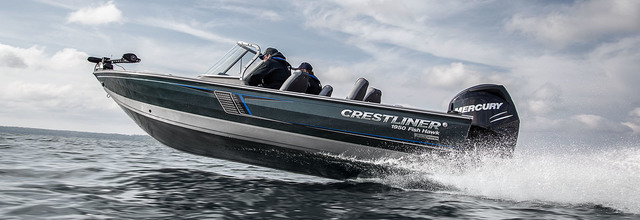 The Million year picnic