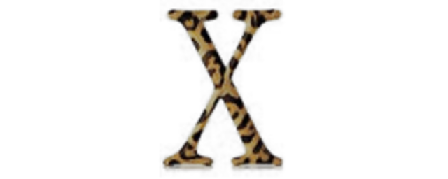 Apple Mac OS X 10.2 Jaguar