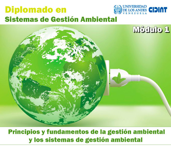 (1): Principios y fundamentos de la gestión ambiental y los sistemas de gestión ambiental