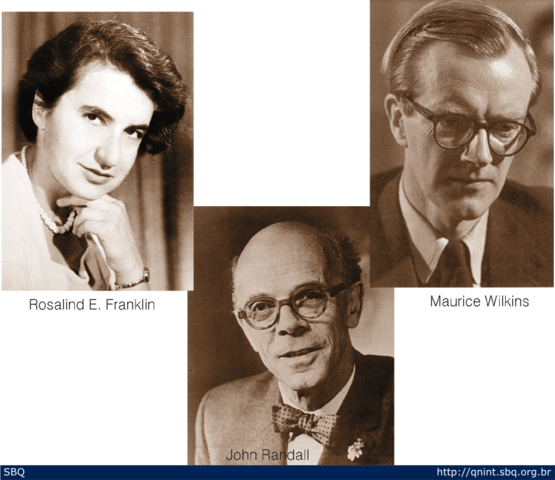 ROSALIN FRANKLIN Y MAURICE WILKINS