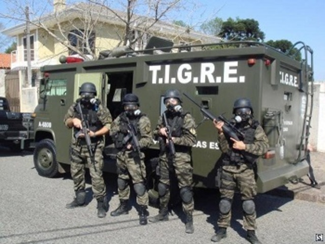 Confrontando desafios - O falso “Tigre”