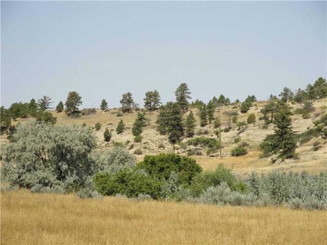 Dad born, Billings. MT
