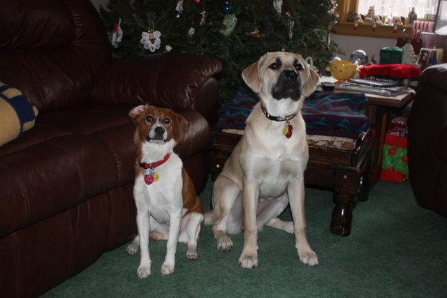 My brothers gave me chicken pox.....my 1st bday party was cancelled