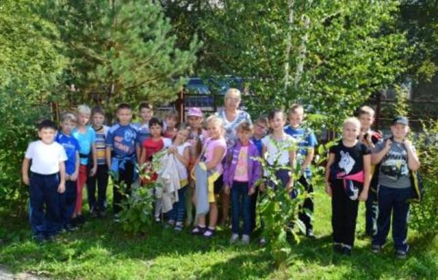 Вернулись после каникул