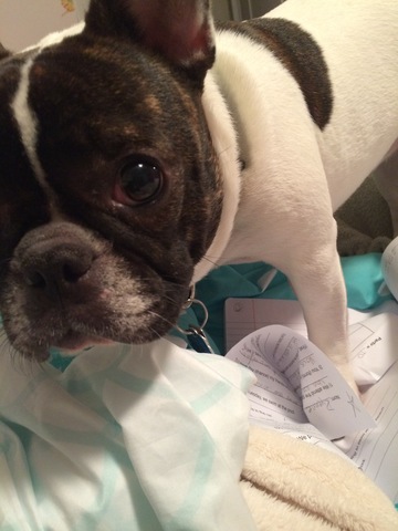 2. Faire mes devoirs...