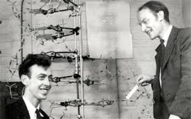 J. Watson y F. Crick