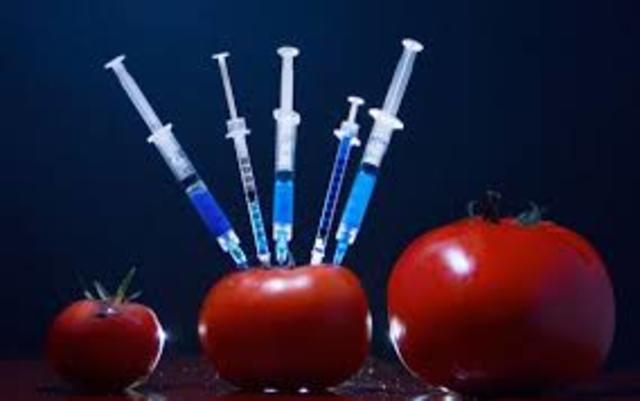 Conferencia sobre riesgos biolgógicos