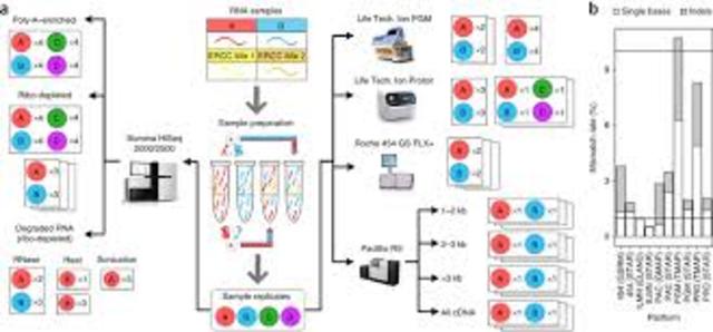 Next Generation Sequencing
