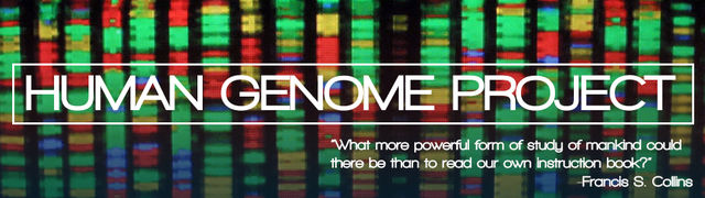 Completion of the human genome project