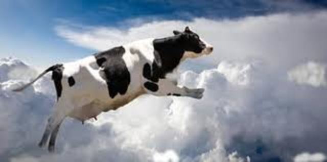 Mulher é morta por vaca voadora na China