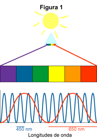 Naturaleza de la luz