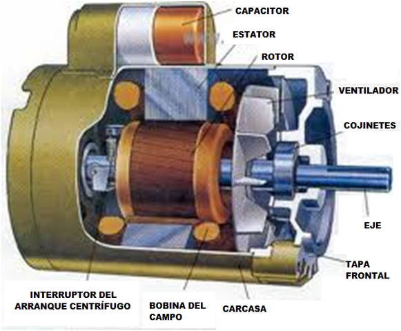 Motor eléctrico rudimentario de Faraday