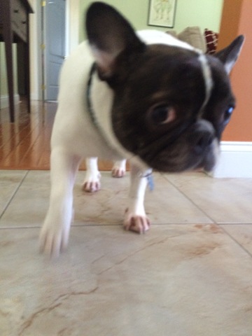 3. La Famille Partent