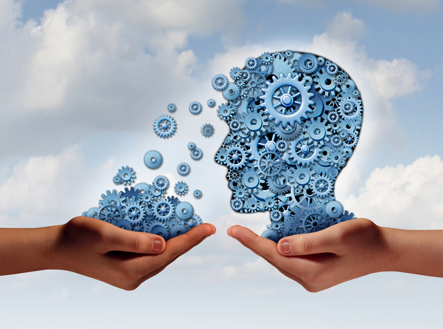 EVALUACION DE NECESIDADES