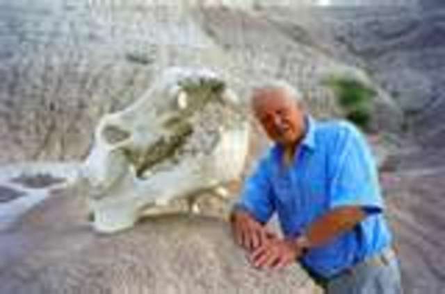 god and realigon statement