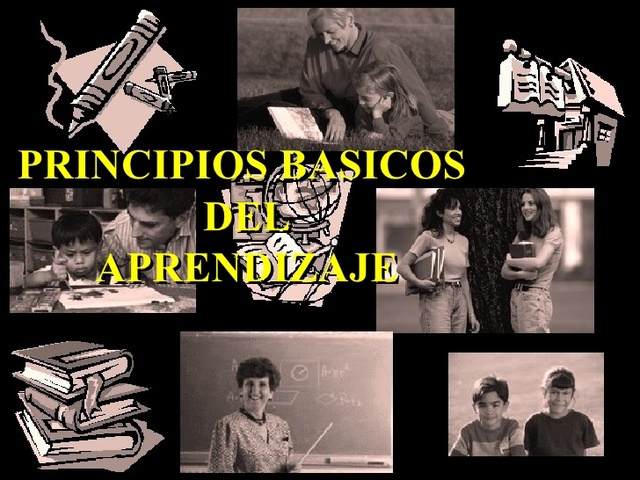 APLICACION DE LOS PRINCIPIOS DEL APRENDIZAJE